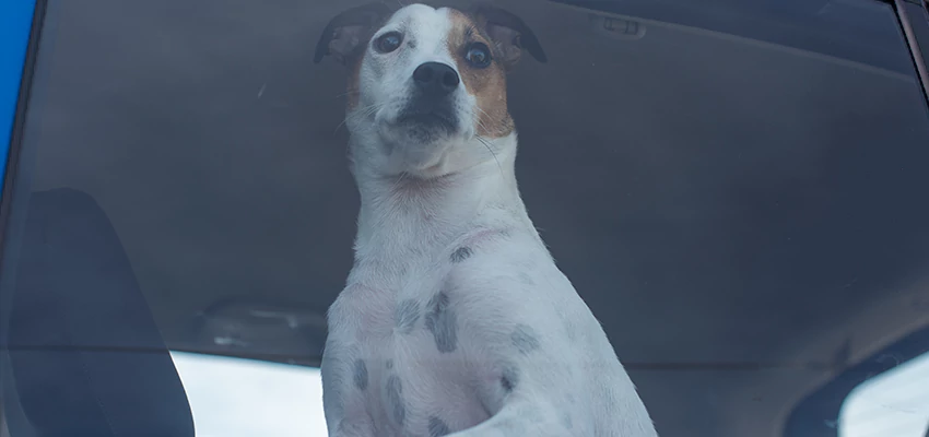 Car Lockout Solutions in Hawthorne, California